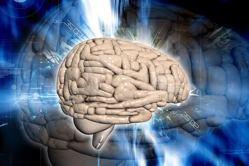The Cholesterol Brain