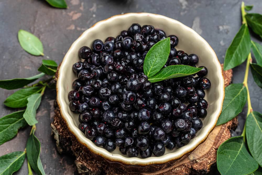 Maqui Berry